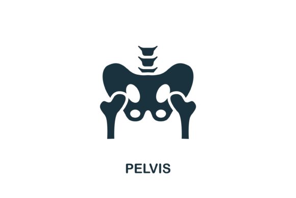 Pelvis Icon: A Practical Guide to Choosing and Using This Essential Design Asset