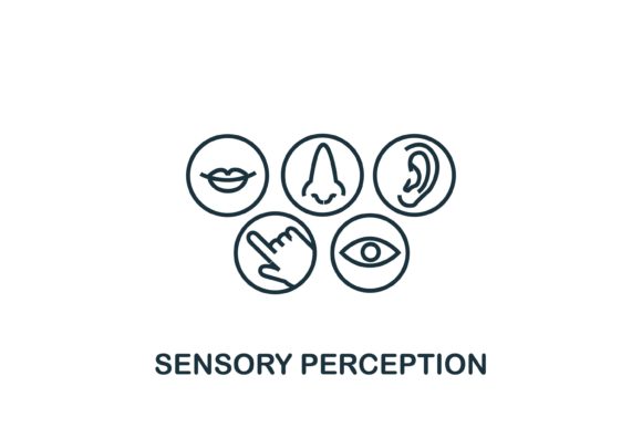 Understanding Sensory Perception in Design and Workflow Integration
